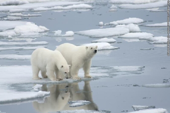 COP21: La lucha contrarreloj para salvar el planeta